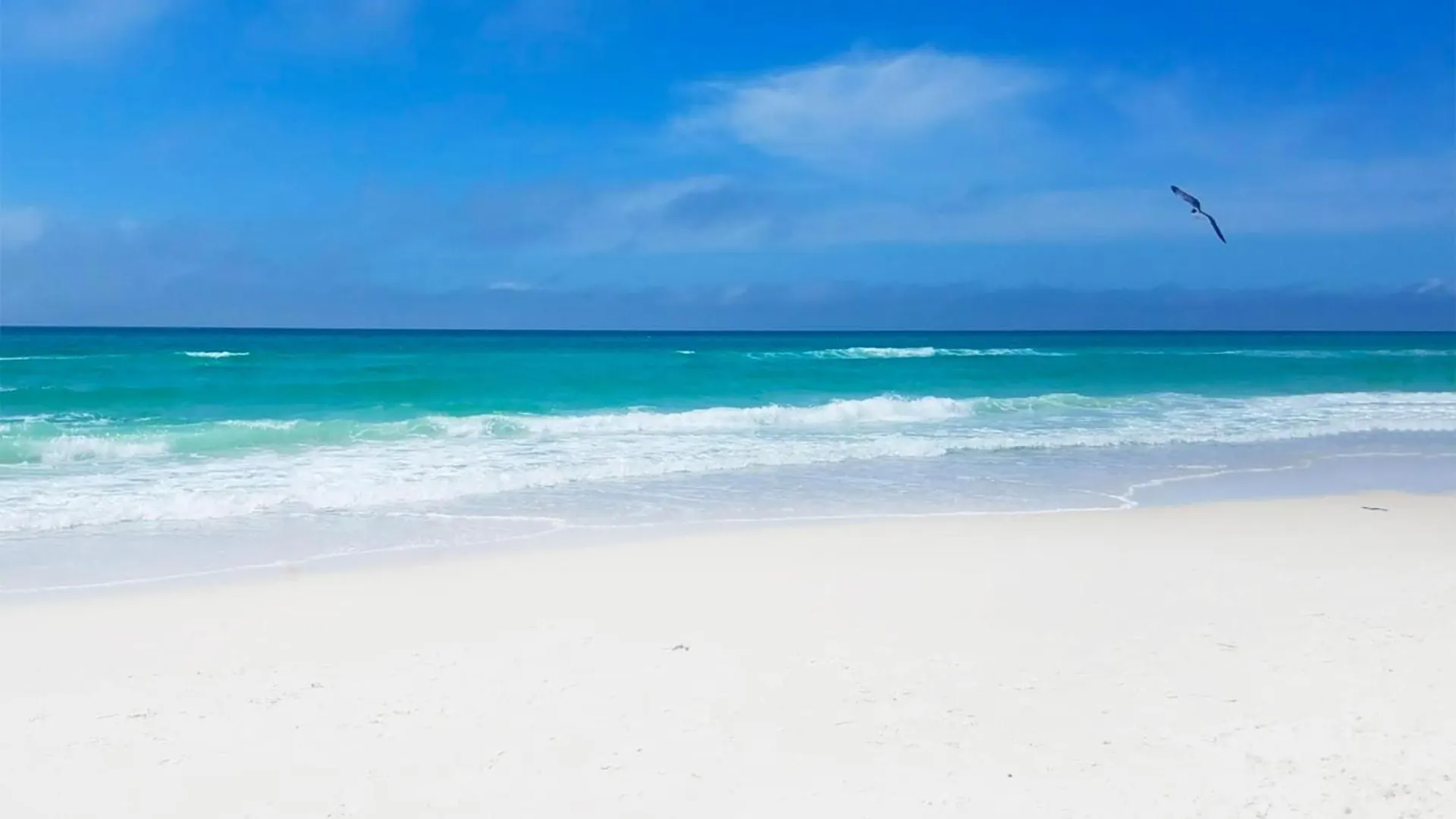 Summerhouse 1009B Panama City Beach Lägenhet